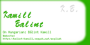 kamill balint business card